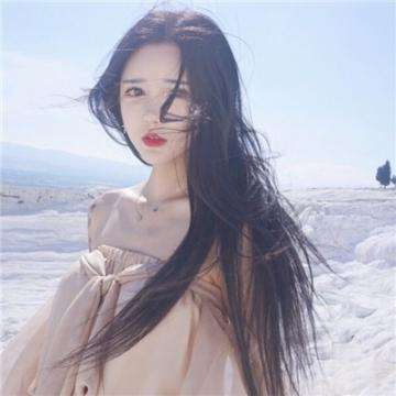 阿黄别乱跑手机版