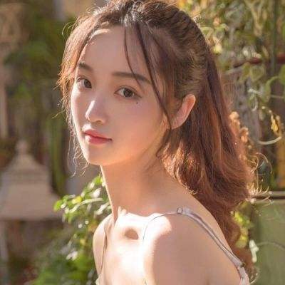 究极数码进化手机版下载